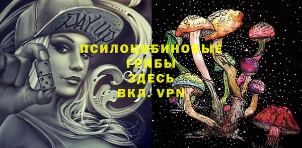 МДПВ Верея