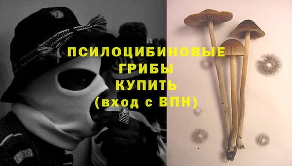 ГАЛЛЮЦИНОГЕННЫЕ ГРИБЫ Верхний Тагил
