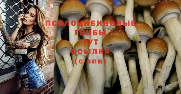 МДПВ Верея