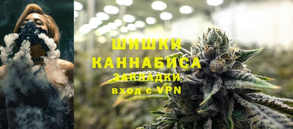 ГАЛЛЮЦИНОГЕННЫЕ ГРИБЫ Верхний Тагил