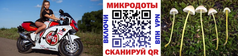 дарк нет состав Луга Псилоцибиновые грибы MAGIC MUSHROOMS